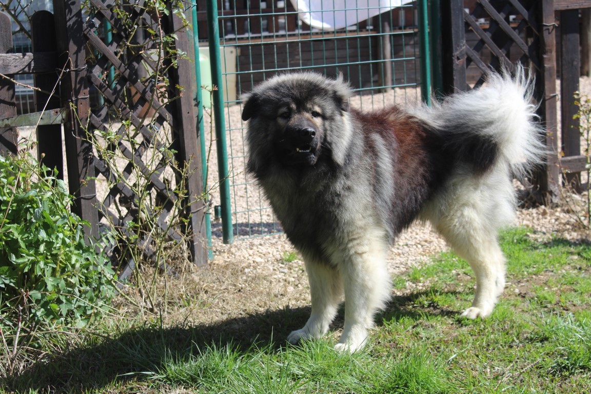 Marlon (Sans Affixe)